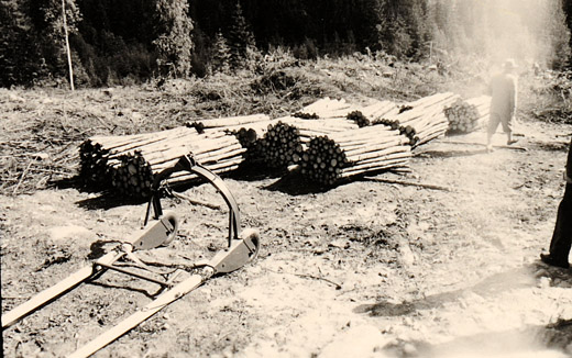 Foto Zweirad Rückebogen für Sterholz 2 m