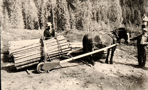 Foto Rückewagen für Pferd