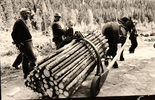 Foto Rückewagen