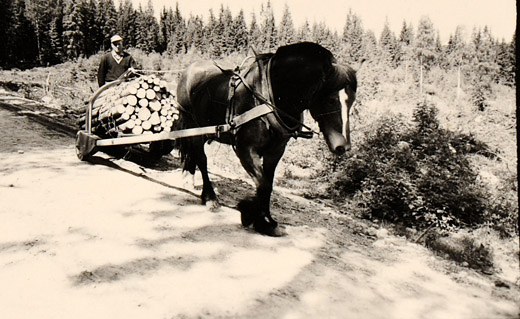 Foto Einachsiger Rückewagen
