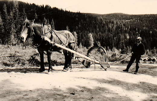 Foto Einachsiger Rückewagen
