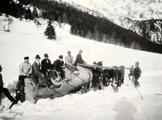 Foto Stammholztransport im Schnee