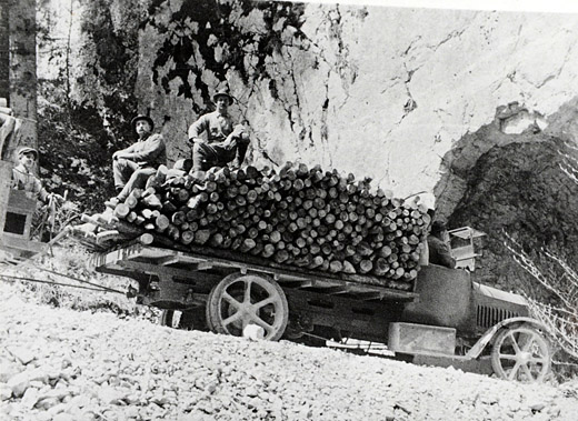 Foto Brennholztransport auf LKW
