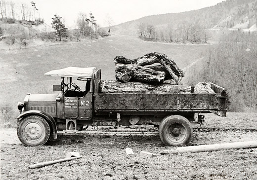 Foto Brennholztransport