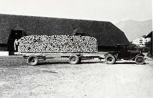 Foto Papierholztransport