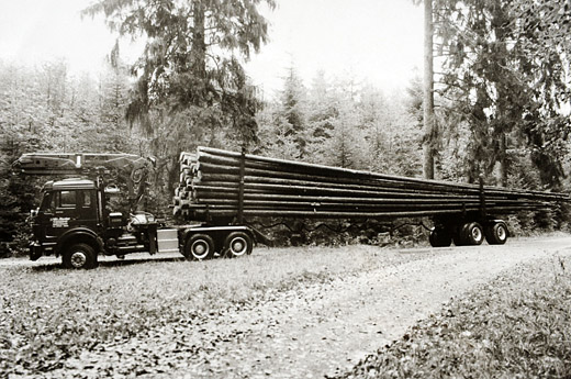 Foto Langholztransport