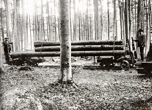 Foto Waldeisenbahn Sihlwald