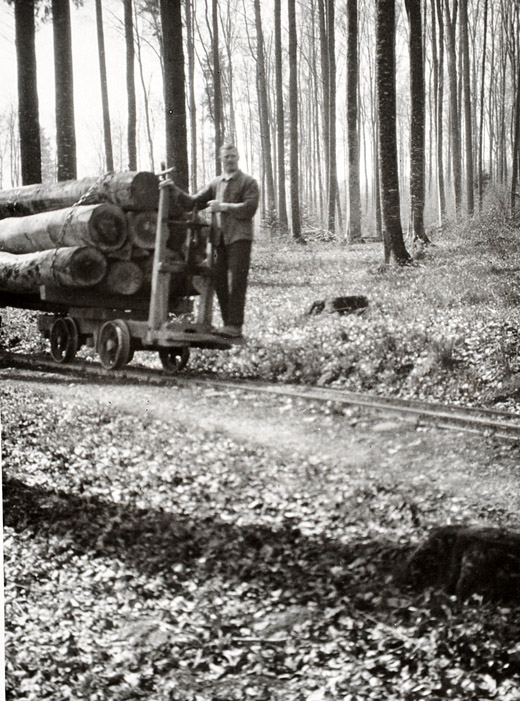 Foto Waldeisenbahn Sihlwald