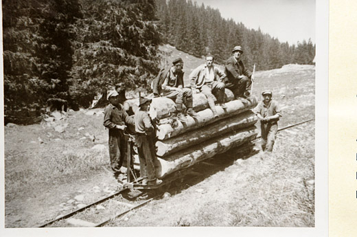Foto Waldeisenbahn
