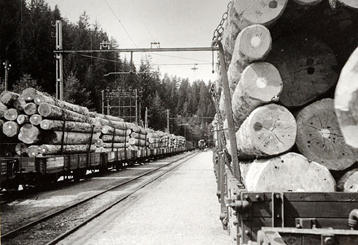 Foto Holztransport mit Bahn