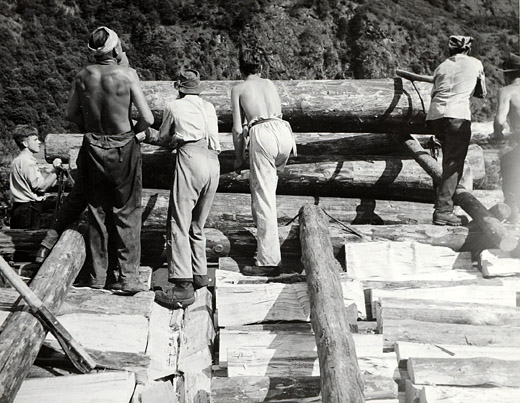 Foto Brennholzaktion Kriegsjahre