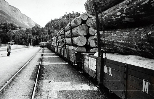 Foto Rundholz auf Bahn