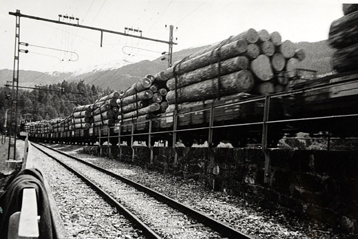 Foto Rundholz auf Bahn