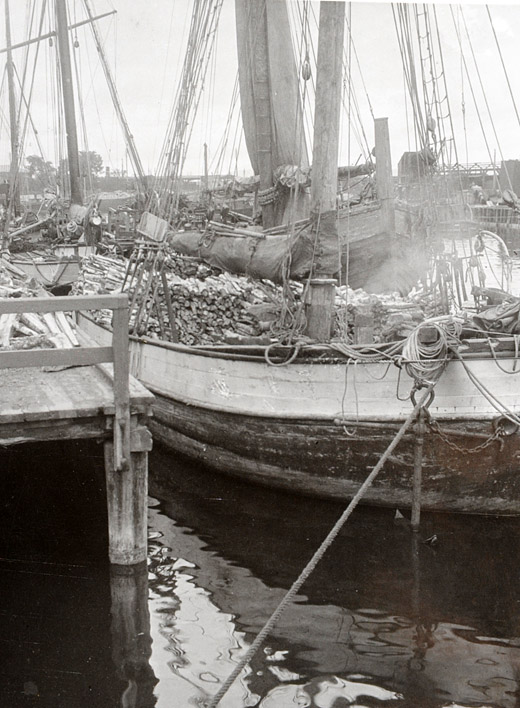 Foto Brennholztransport mit Schiff