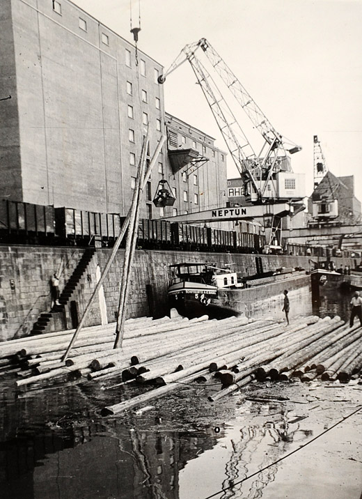Foto Umschlag von Holz im Hafen