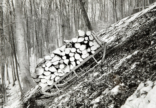 Foto Schlitten "Schwyn"