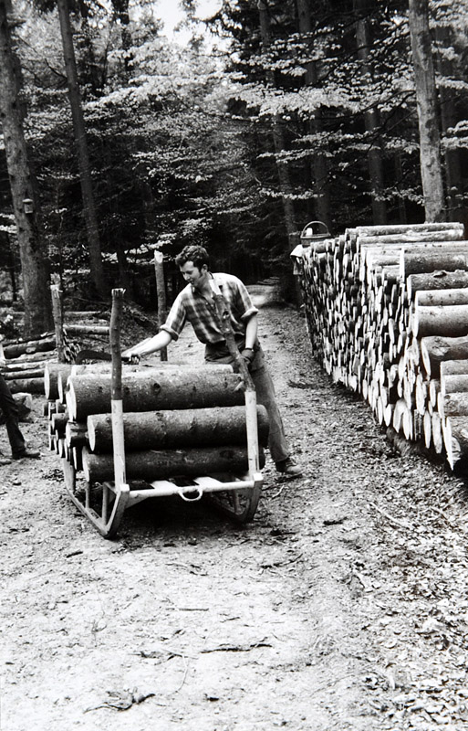 Foto Stahlrohrschlitten Brennholztransport