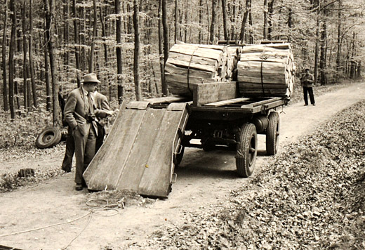 Foto Brennholztransport Verlad