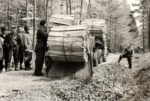 Foto Brennholztransport