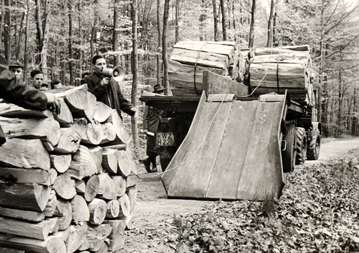 Foto Brennholztransport