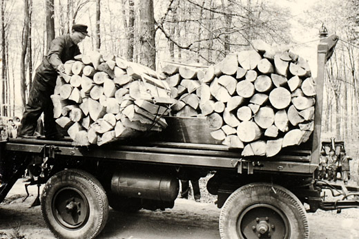 Foto Brennholztransport