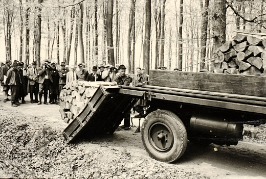 Foto Brennholztransport