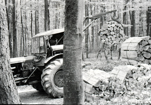 Foto Brennholztransport