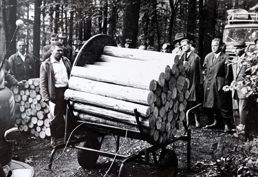 Foto Papierholz Sterwagen