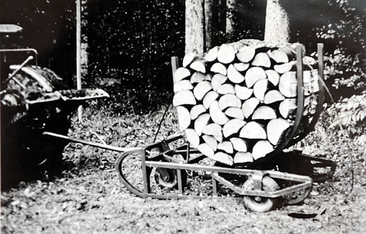 Foto Sterholz Bündelwagen