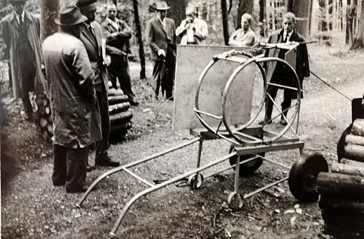 Foto Sterholz Bündelrahmen