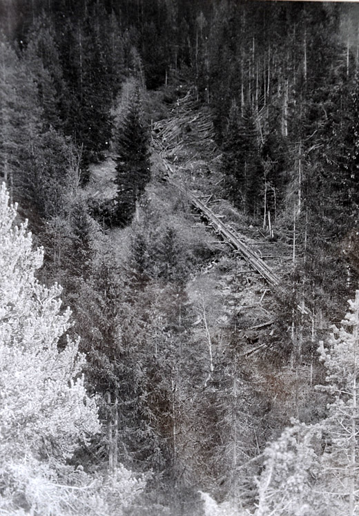 Foto Rücken im Holzkänel