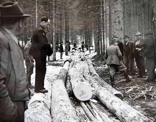 Foto Rücken mit Reistkanal