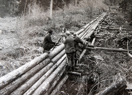Foto Rücken im Reistkanal
