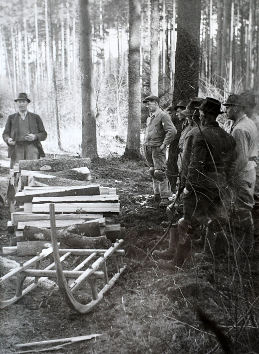 Foto Brennholztransport mit Schlitten