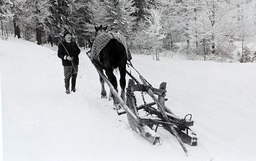 Foto Brennholztransport