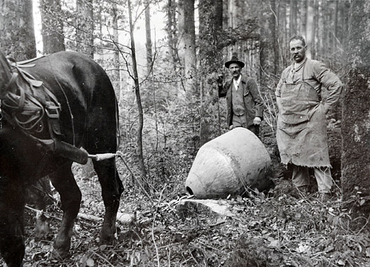 Foto Holzrücken mit Schlepphaube