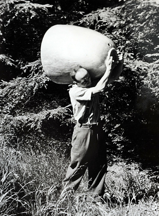 Foto Leichtmetall Schlepphaube Solo