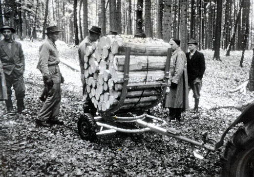 Foto Sterholz Wagen