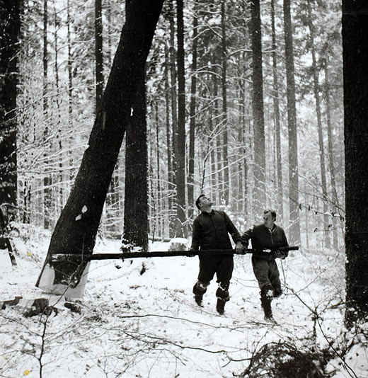Foto Zufallbringen eines Hängers
