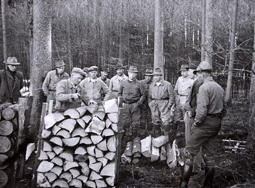 Foto Brennholzbeige