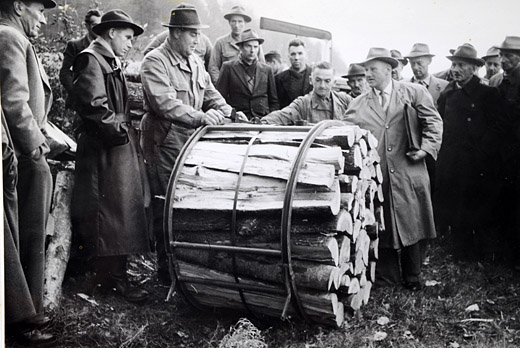 Foto Schichtholzbündel