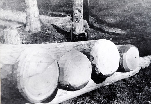 Foto Holzpolter