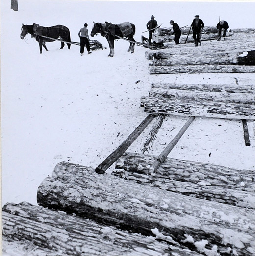 Foto Rundholzlager
