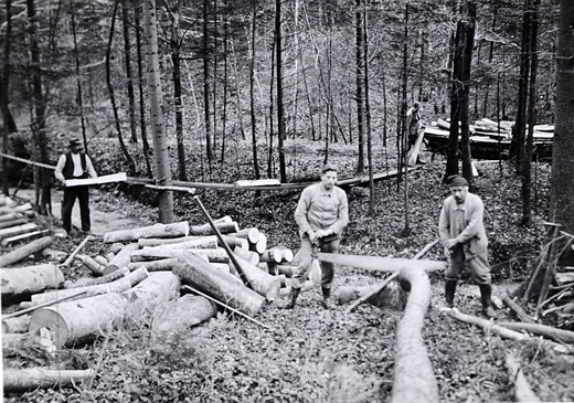 Foto Einschneiden von Brennholz
