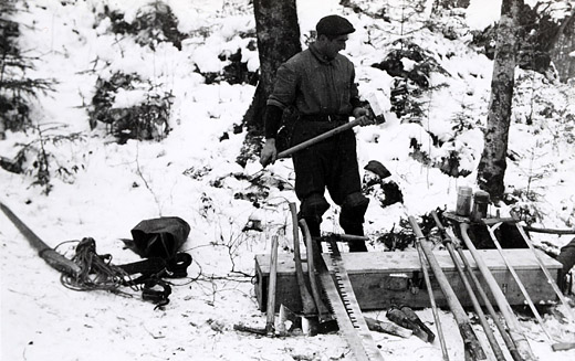 Foto Auslegeordnung von Holzerwerkzeugen