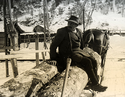 Foto Fuhrmann sitzt auf Rundholz