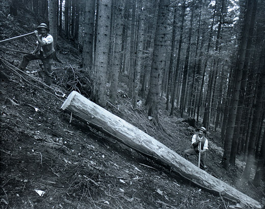 Foto Abseilen am Hang