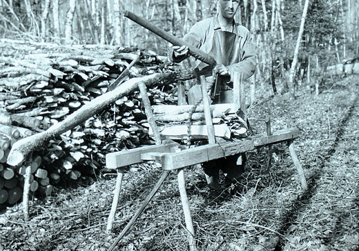 Foto Büschelimacher