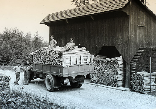 Foto Brennholztransport mit LKW