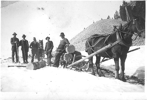Foto Pferdefuhrwerk mit Trämel